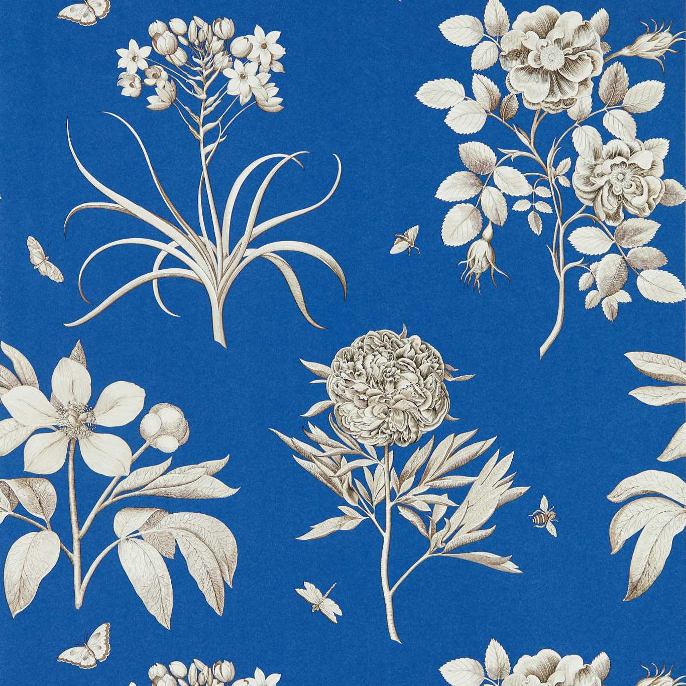 Etchings &Amp; Roses & Roses French Blue